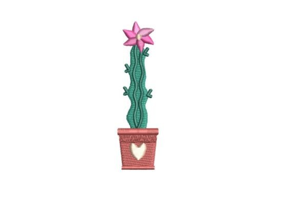 Tall Flowering Cactus in Heart Pot Review